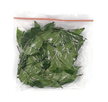 CURRY LEAVES PACKET