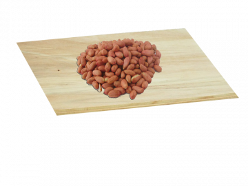 PEANUT SPANISH 500gms