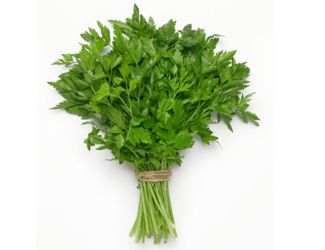 PARSLEY BIG BUNCH