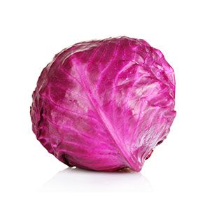 CABBAGE RED (WHOLE)