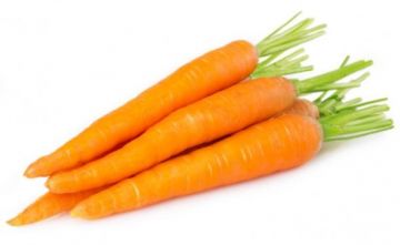 CARROTS LOOSE