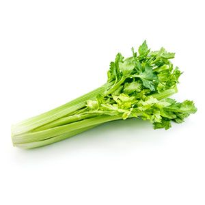 CELERY BUNCH