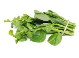 CEYLON SPINACH