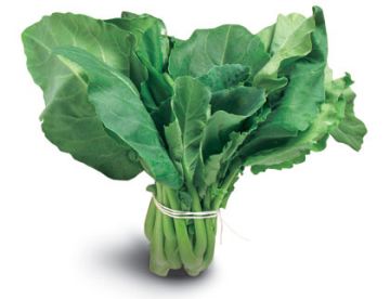 CHINESE BROCCOLI