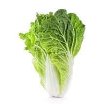 CABBAGE CHINESE ( WOMBOK )