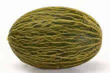SPANISH MELON