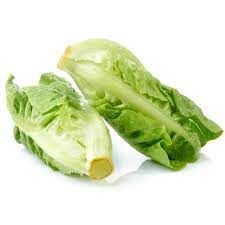 Baby Cos Lettuce (Twin Pack)