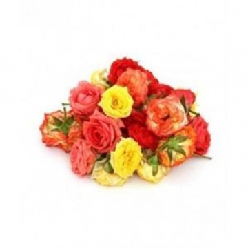 ROSE FLOWER PACK