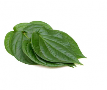 Betel Leaves (POOJA PAN) Pack