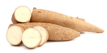 FRESH CASSAVA