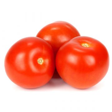 GOURMET TOMATOES