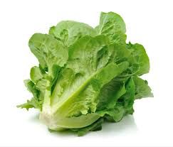 COS LETTUCE 