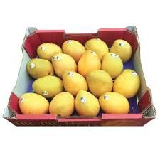 KENSINGTON PRIDE ( KP ) MANGO TRAY (14 TO 18 MANGOES)