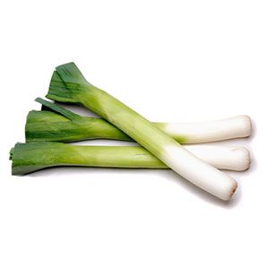 LEEK 