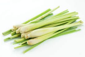 LEMONGRASS SINGLE STICK