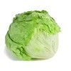 ICEBURG LETTUCE