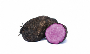 YAM PURPLE LOOSE