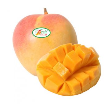 R2E2 MANGO KILO