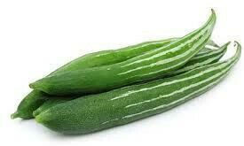 SNAKE GOURD