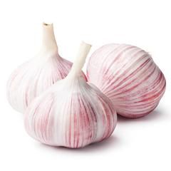 SPANISH GARLIC