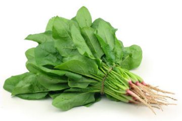 ENGLISH SPINACH