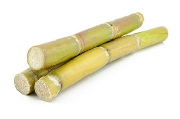 Sugarcane stick each