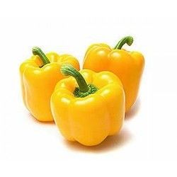 YELLOW CAPSICUM LOOSE